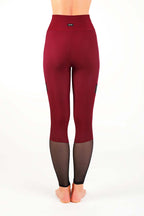 Mesh Leggings Barbara