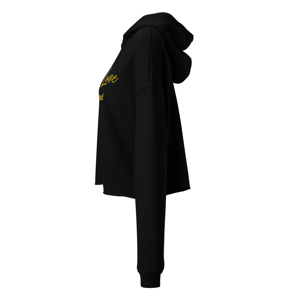 SoulRise Cropped Hoodie