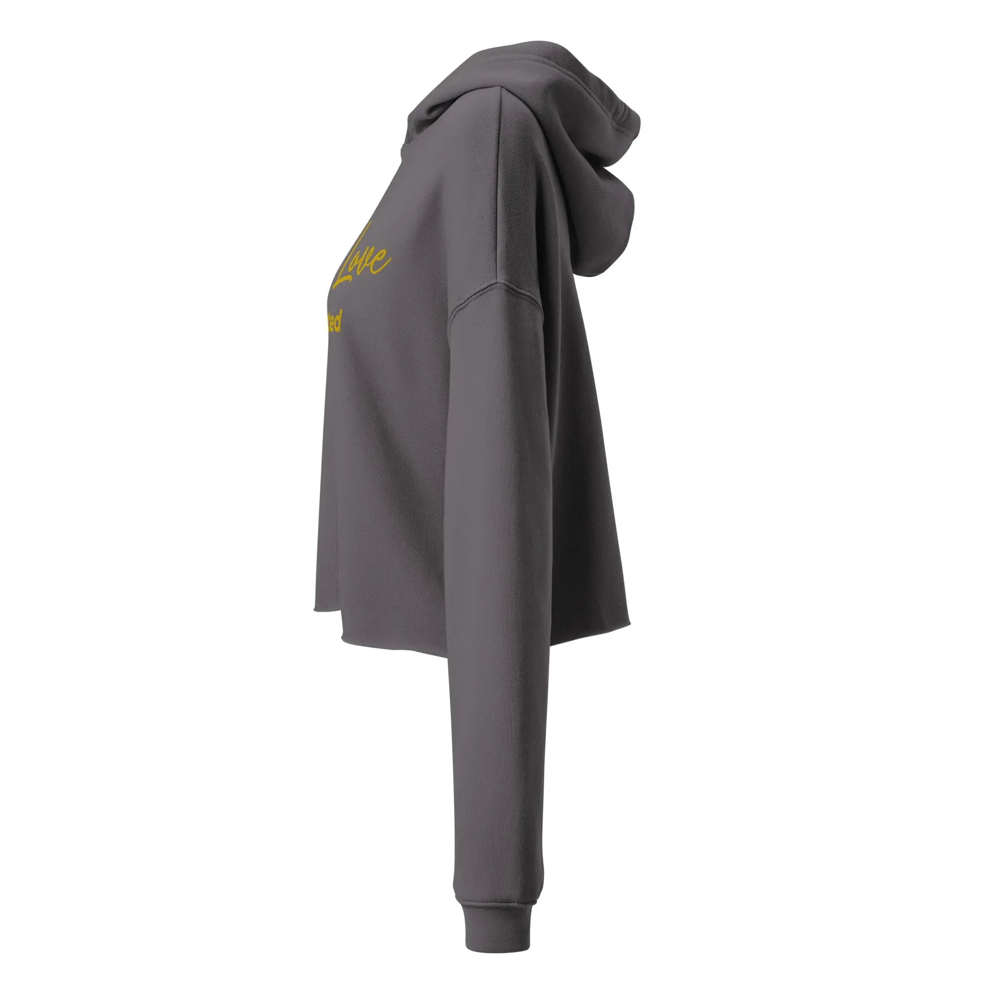 SoulRise Cropped Hoodie