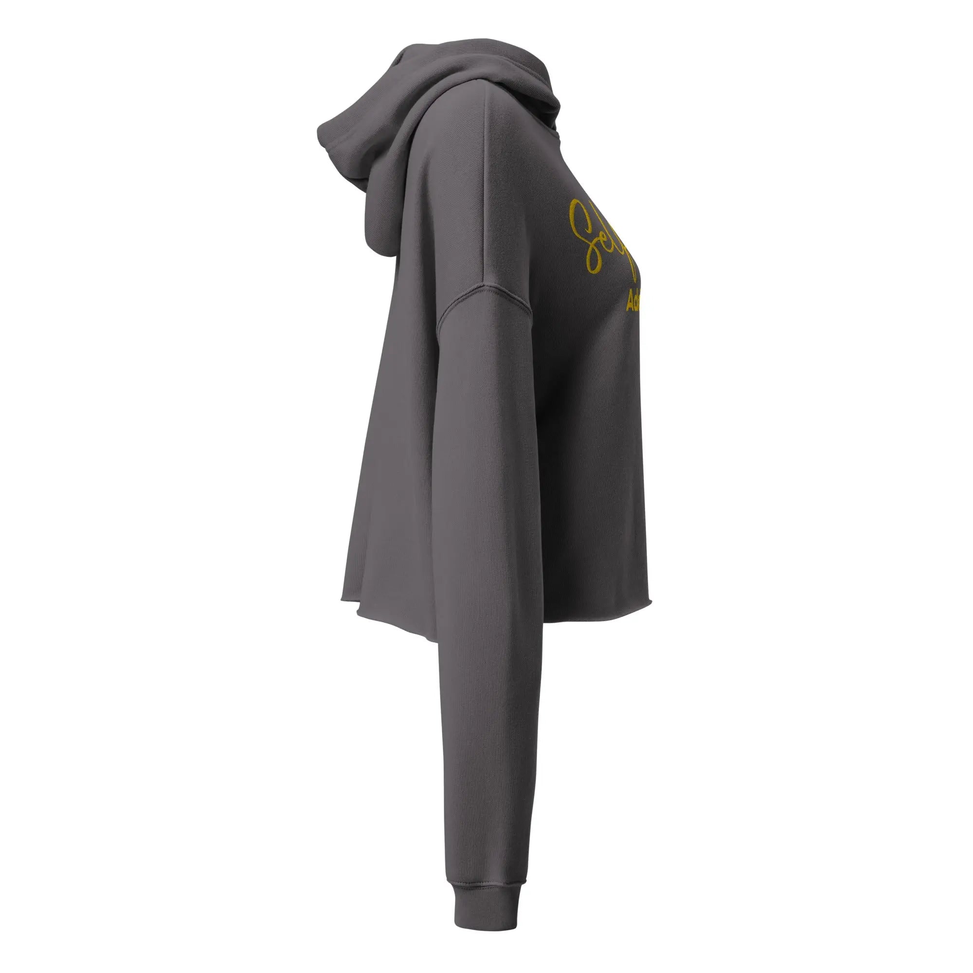 SoulRise Cropped Hoodie